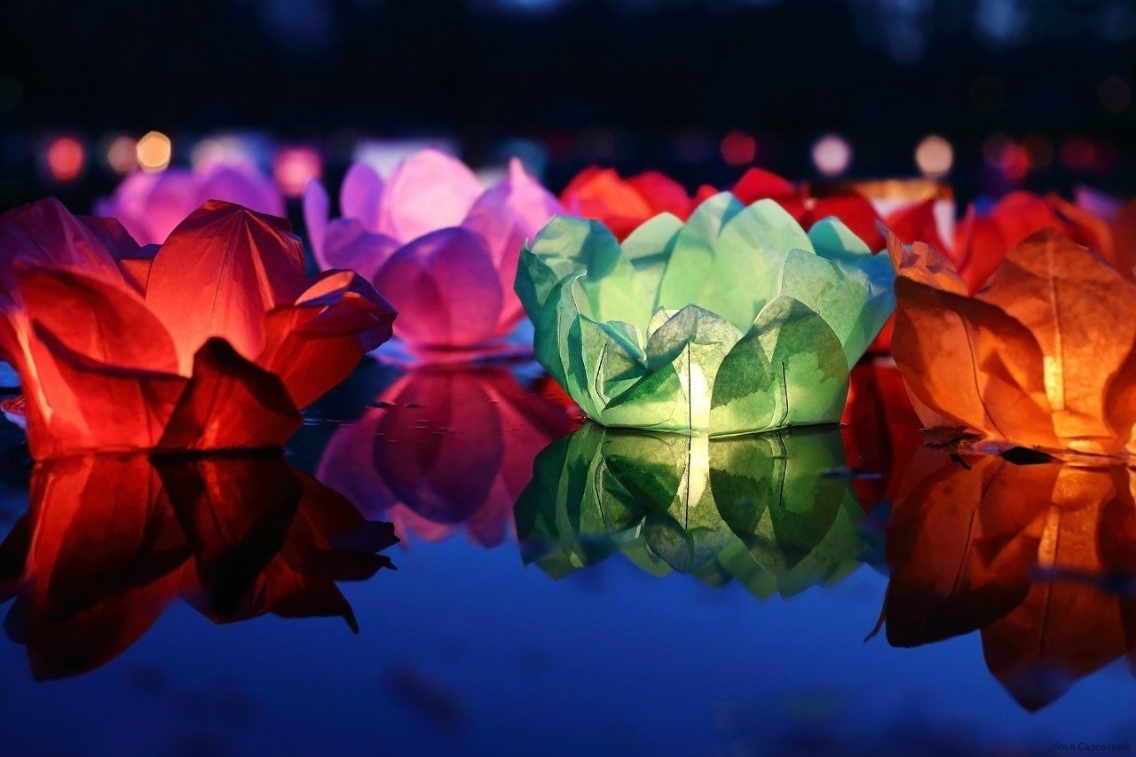 Festival Lotus Lantern en Seúl, Corea