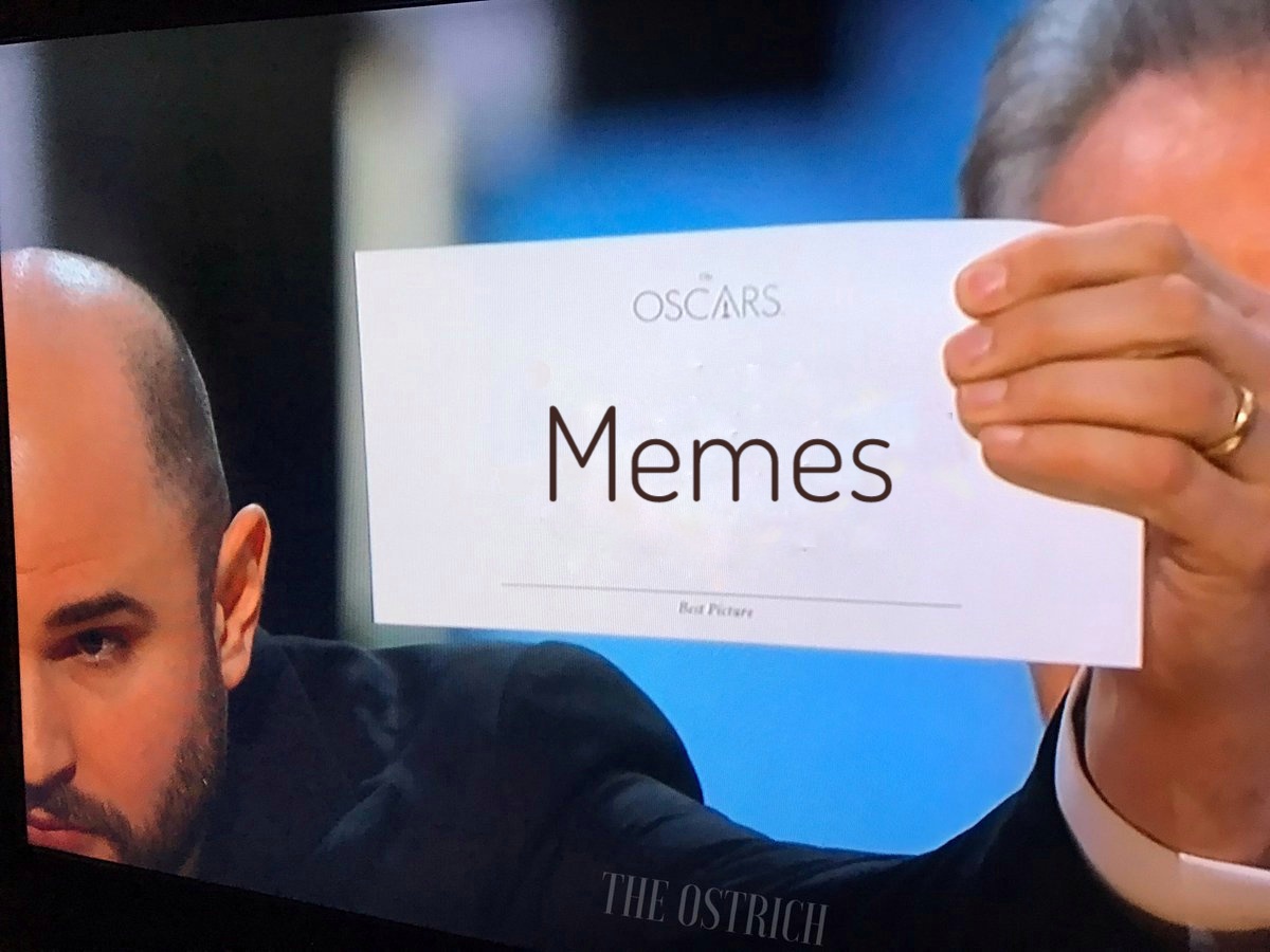 Best-Oskars-2017-Memes (14)