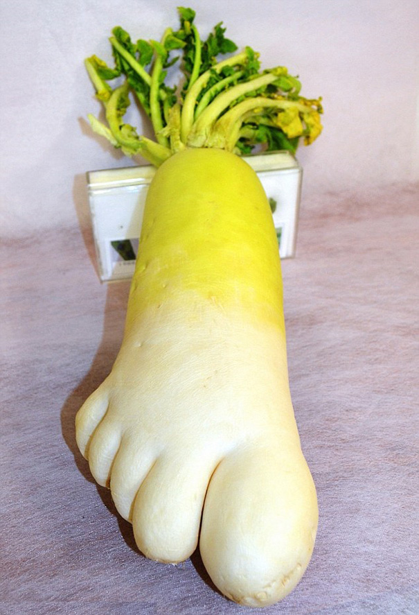 Strange-fruit-vegetables. (15)