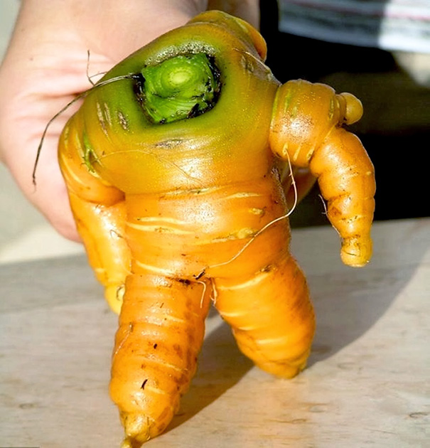 Strange-fruit-vegetables. (16)