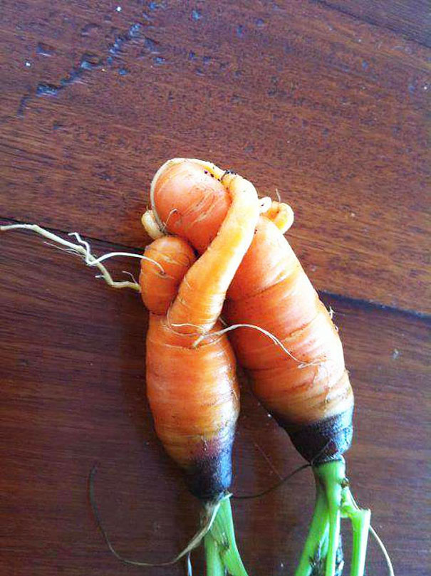 Strange-fruit-vegetables. (17)