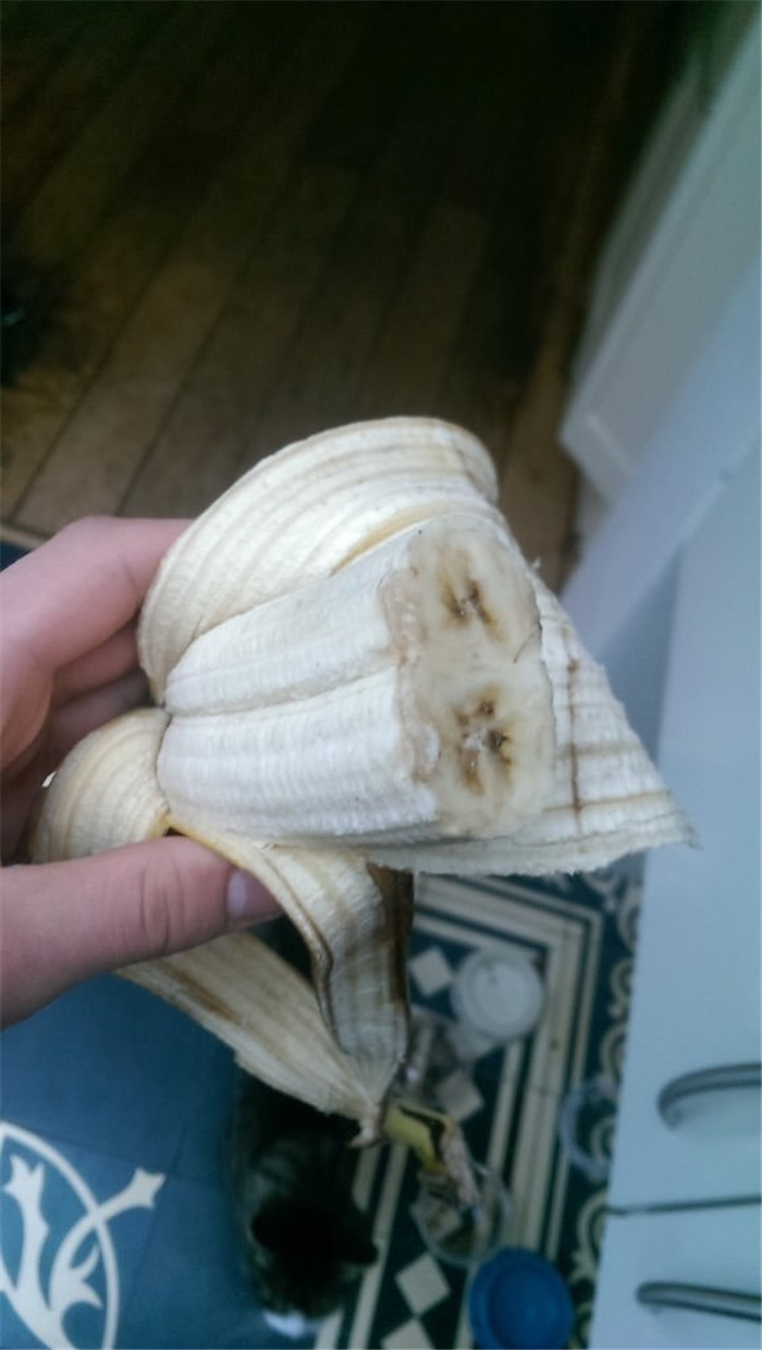 Extraño forma de vegetables de la forma. (2)