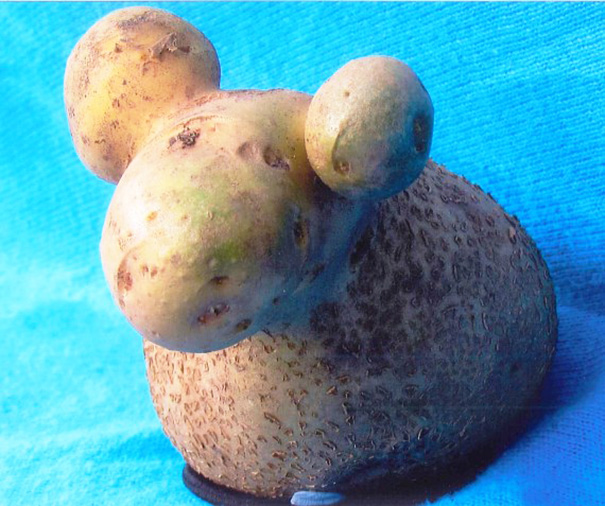 Strange-fruit-vegetables. (20)