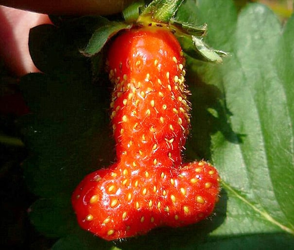 Strange-fruit-vegetables. (23)