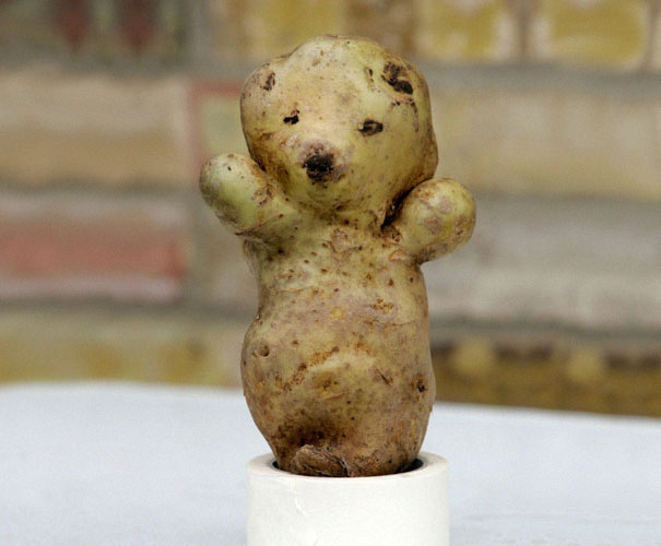 Strange-fruit-vegetables. (26)