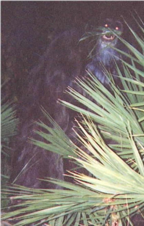 10 fotos misteriosas. Que nunca explicado -3