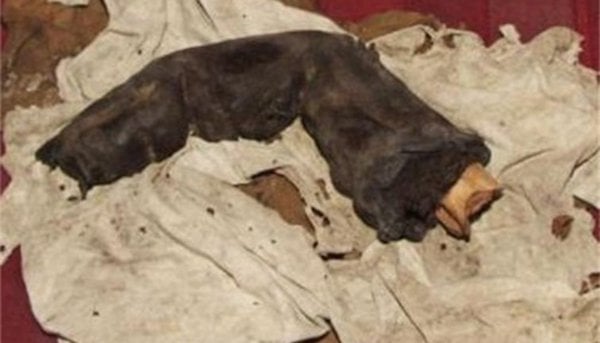 10 mysterious-Photos. Que nunca explicado -5