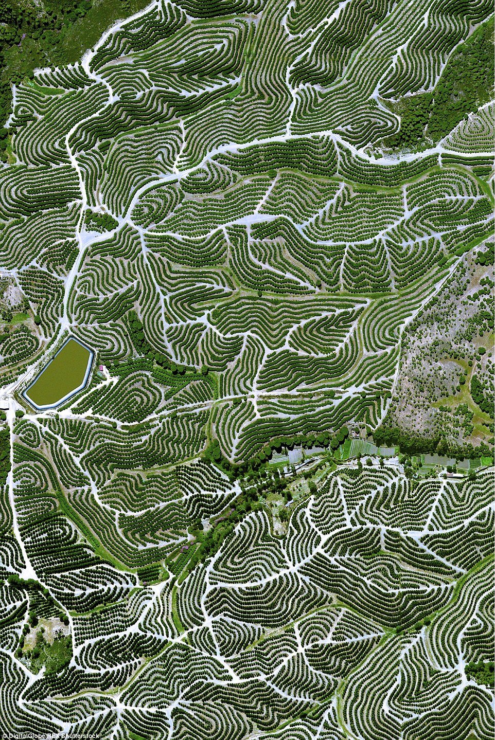 11. Garden de Hueleva, España