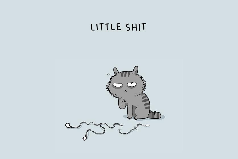 Cats de 12 type-that o will-make-smile -003