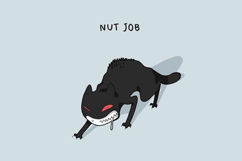 Cats de 12 type-that o will-make-smile -004