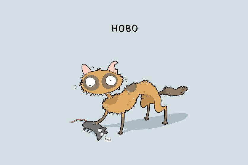 12 tipos de gatos-que o-smile-smile -007