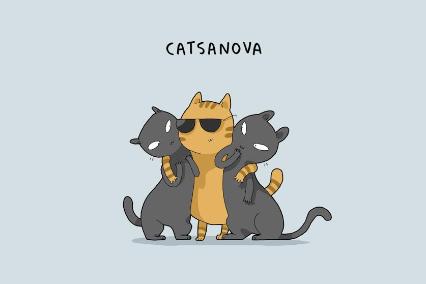Cats de 12 type-that o will-make-smile -008