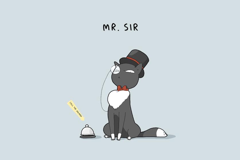 12 tipos de gatos que hará-smile -009