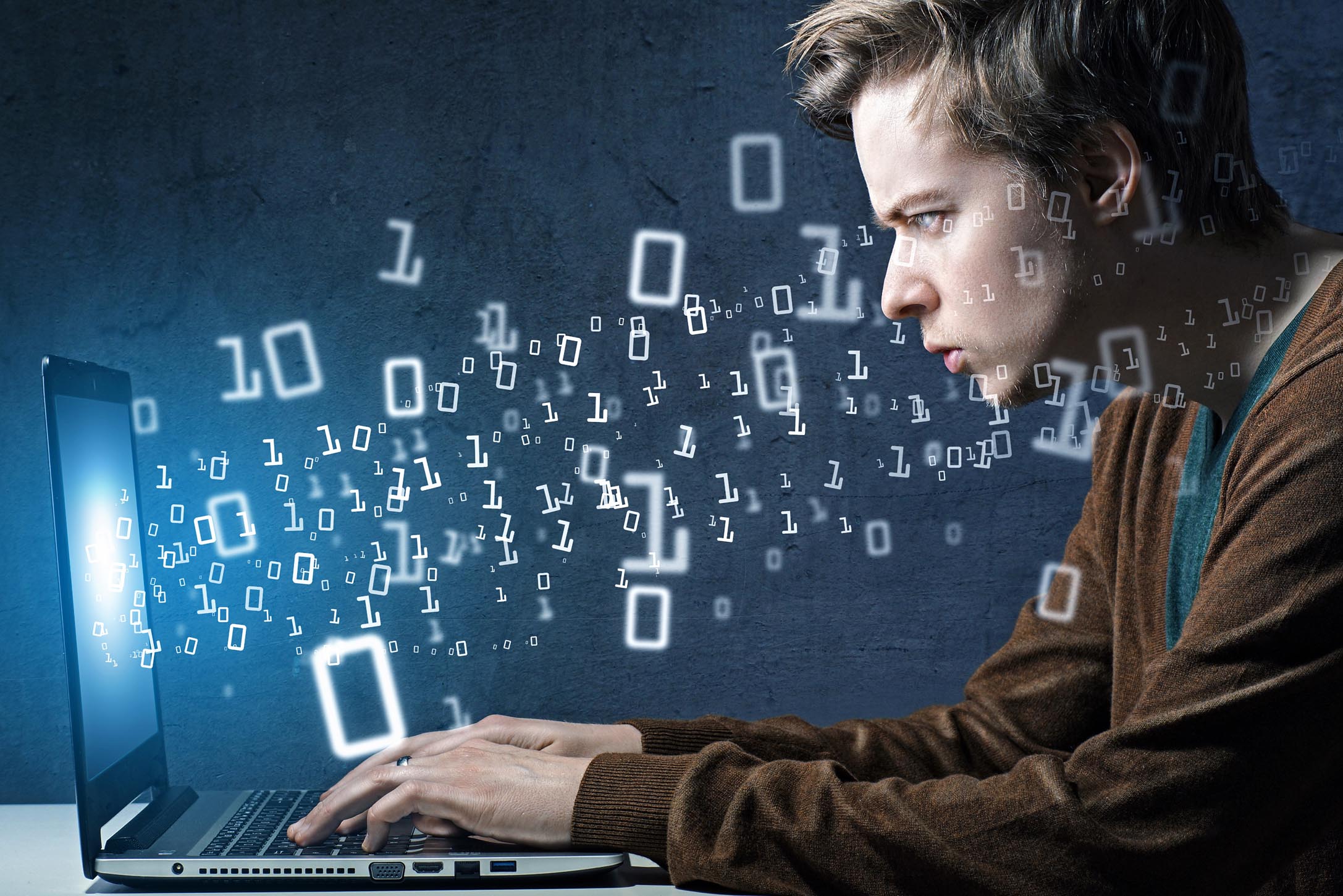5. Desarrollador de software