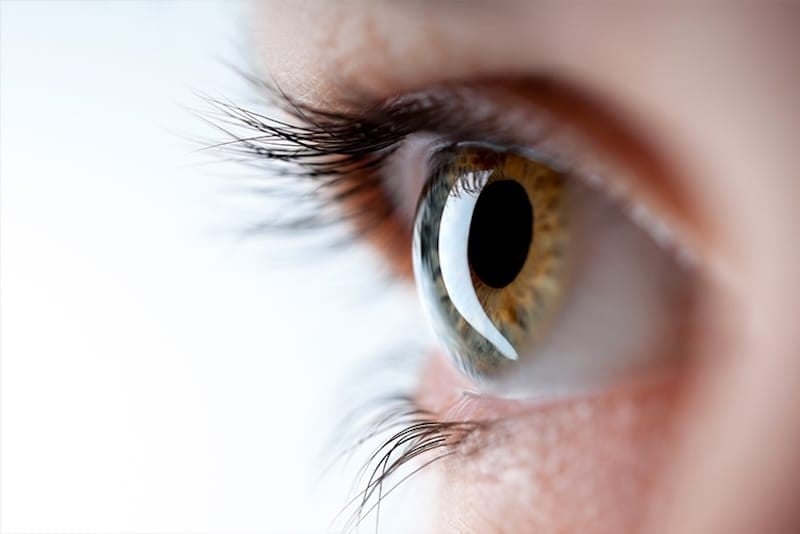 Nuestros ojos están llenos de gelatina. | 6 Datos interesantes sobre el ojo humano | Bayas cerebrales