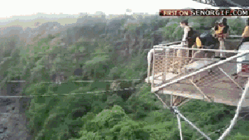 9. Crocodile Bungee Jumping 2