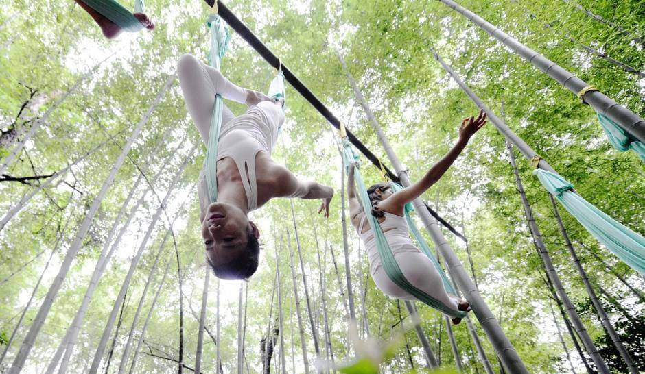 Investigación Bosque de bambú de yoga (OMG) 2: