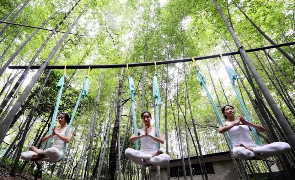 Bosque de bambú de yoga anti-peso (OMG) 7