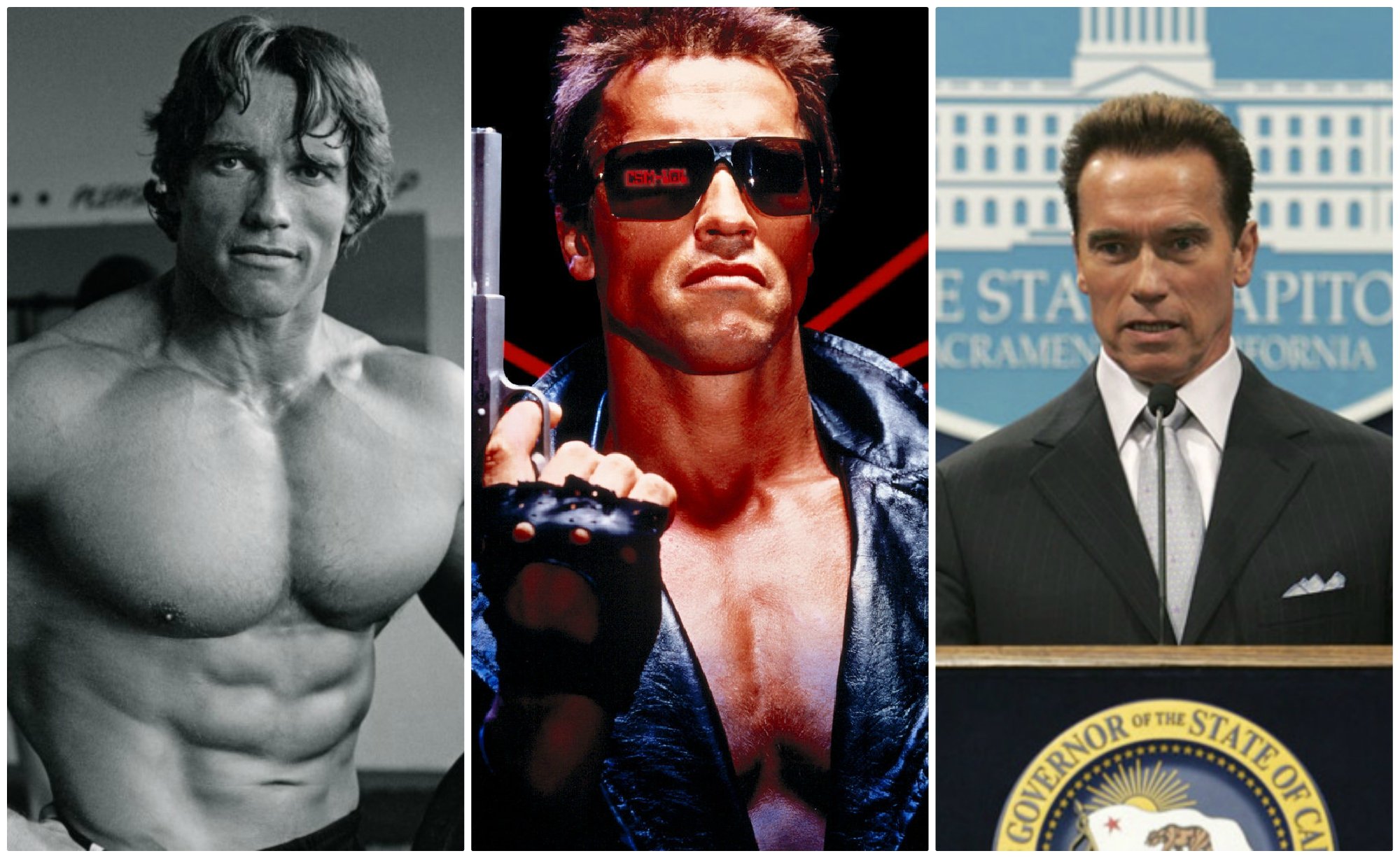 Arnold Schwarzenegger | 8 actores ganando millones de personas para jugar su | Bayas cerebrales