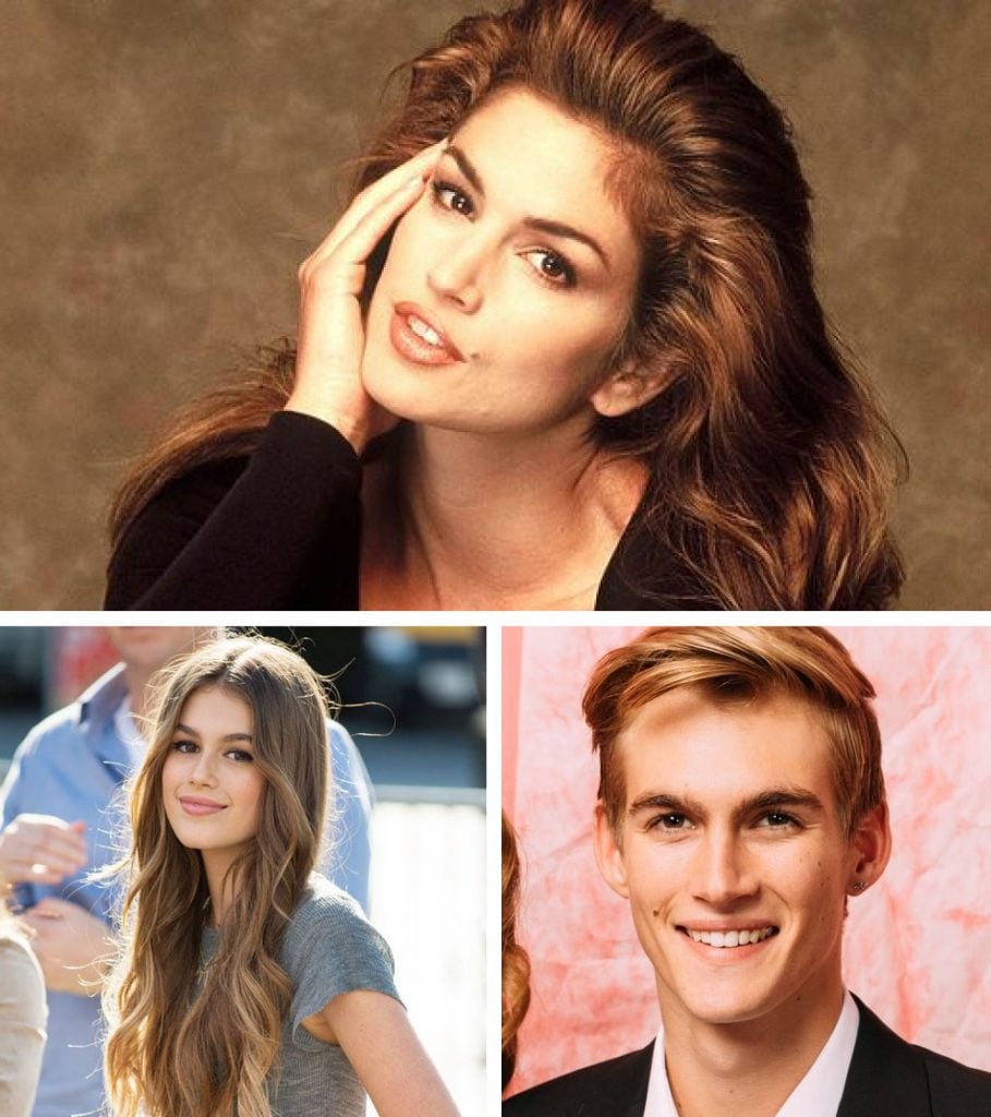 Cindy Crawford | Bayas cerebrales
