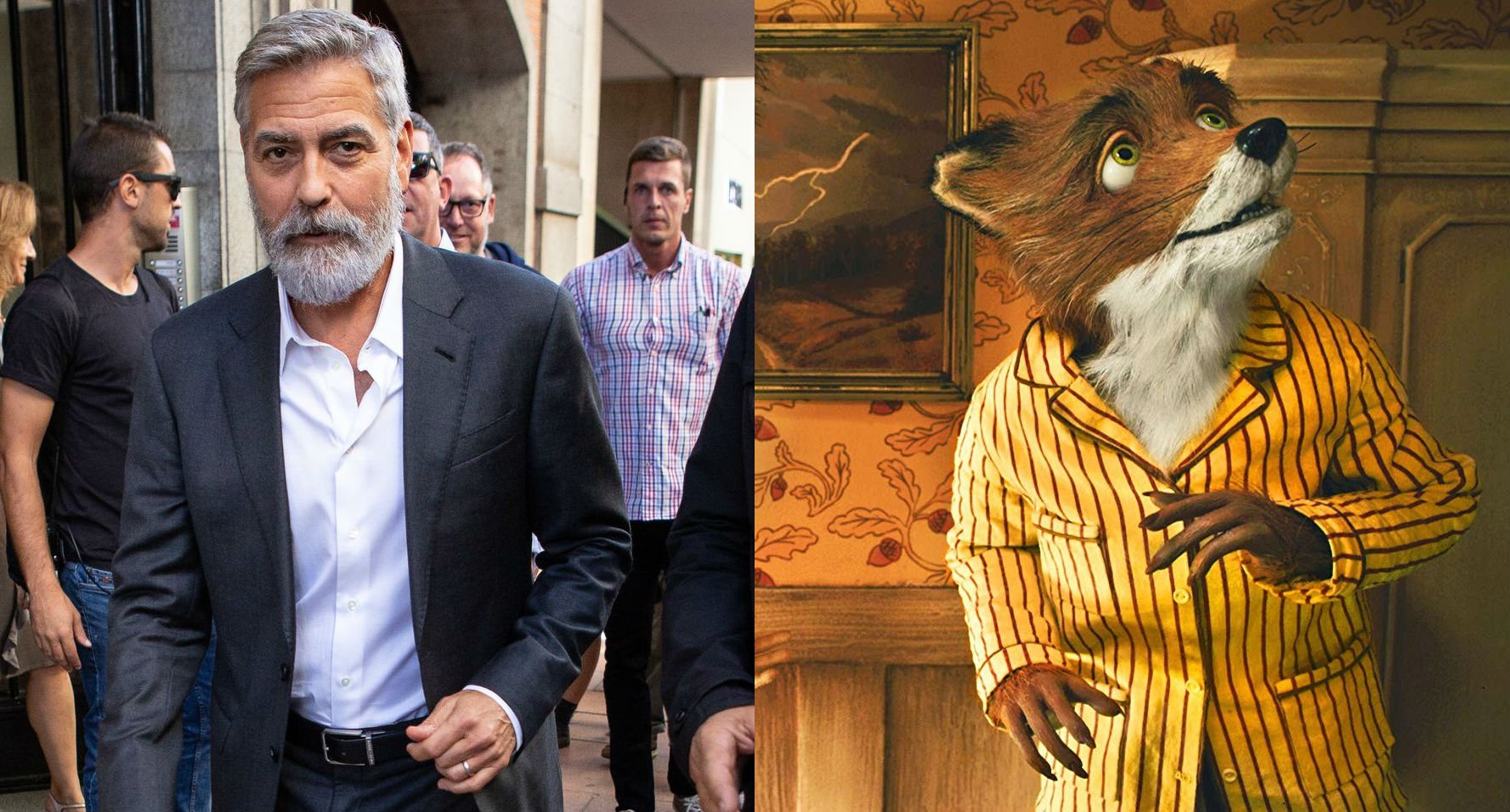 George Clooney - Fantástico Sr. Fox | 21 personas famosas que expresaron tus
</p>
																											</div><!--mvp-content-main-->
													<div id=