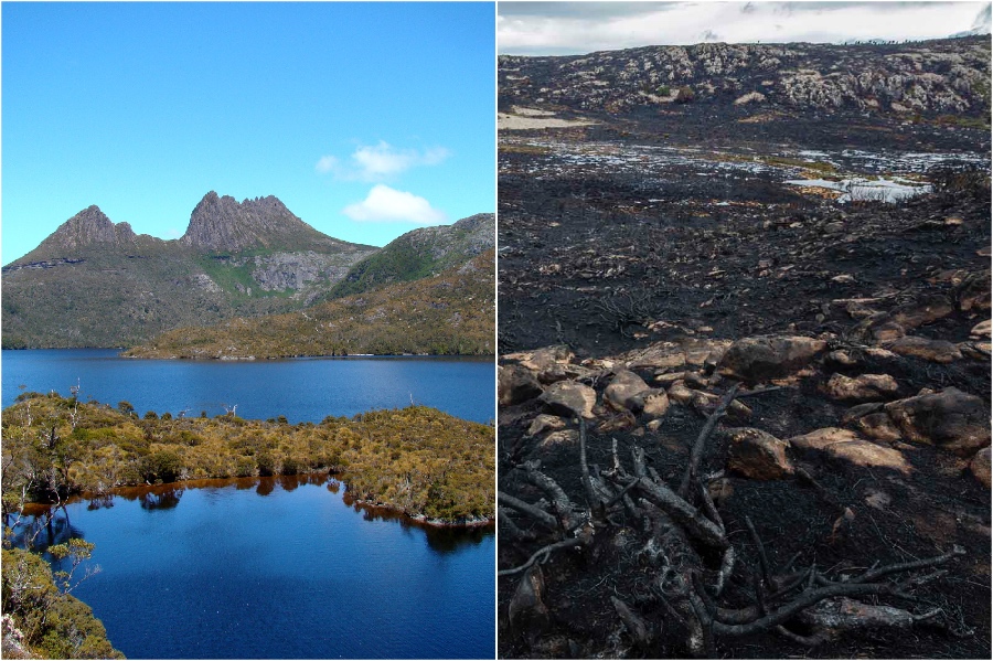 Lake Makenz, Tasmania, Australia | Hemos perdido atracciones históricas en los últimos 5 años | Cerebro 