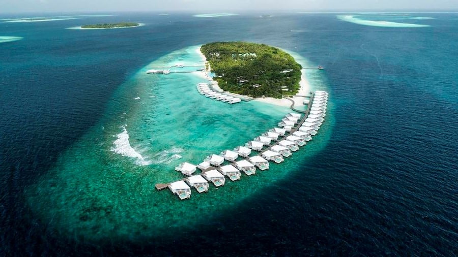 Mar laccadive | 10 fuera de los mares más oscuros del mundo | Bayas cerebrales