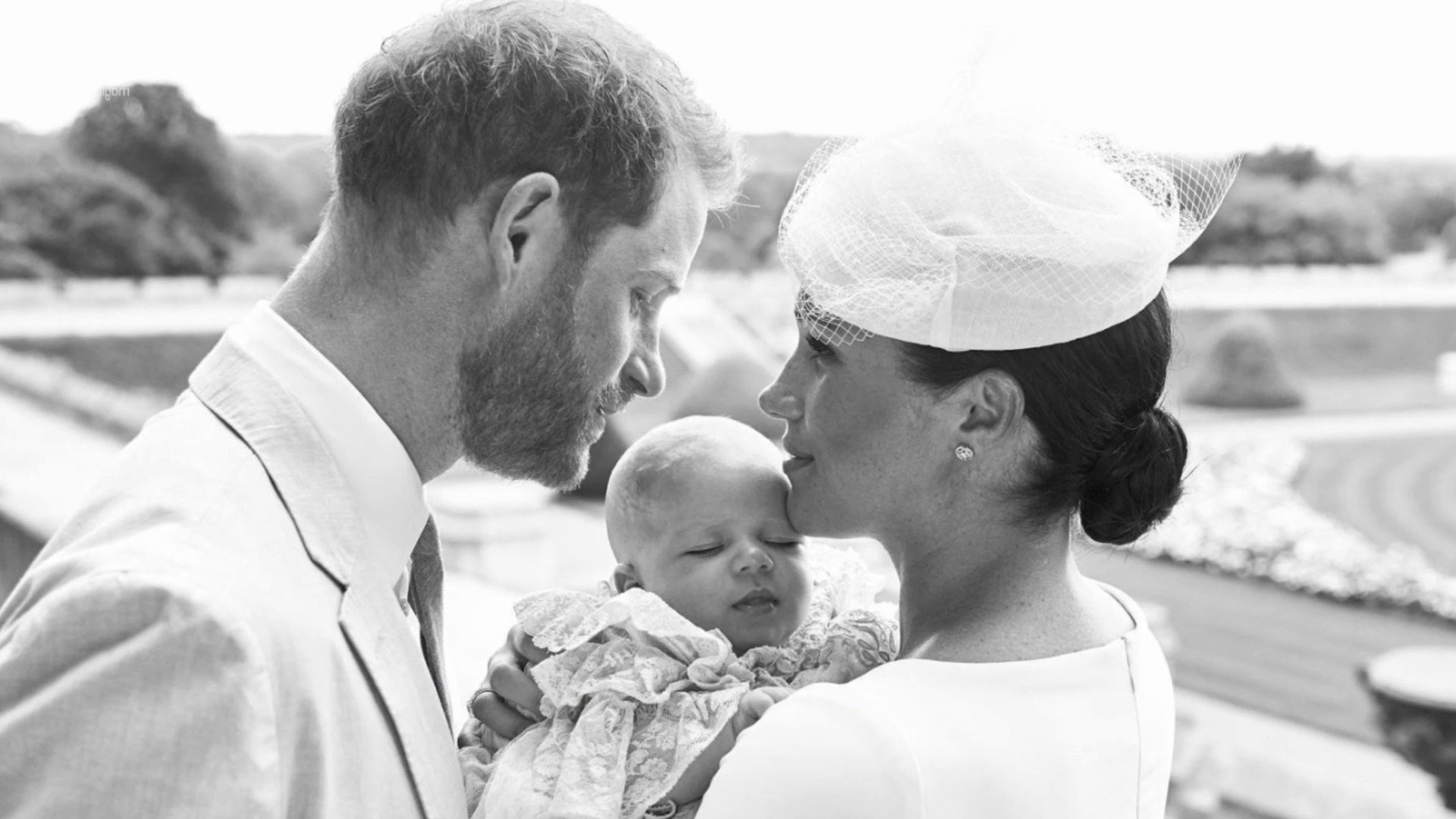 Plantación de árboles | El hijo real de Harry y Megan. Todo lo que necesitas saber | Bayas cerebrales