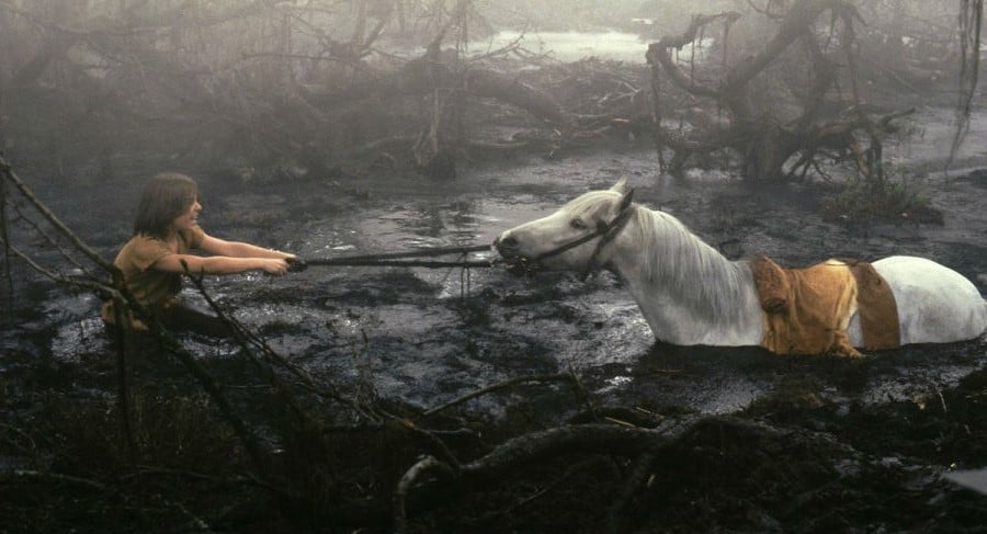 Historia del diálogo | 9 películas para niños que son muy cobardes | Bayas cerebrales