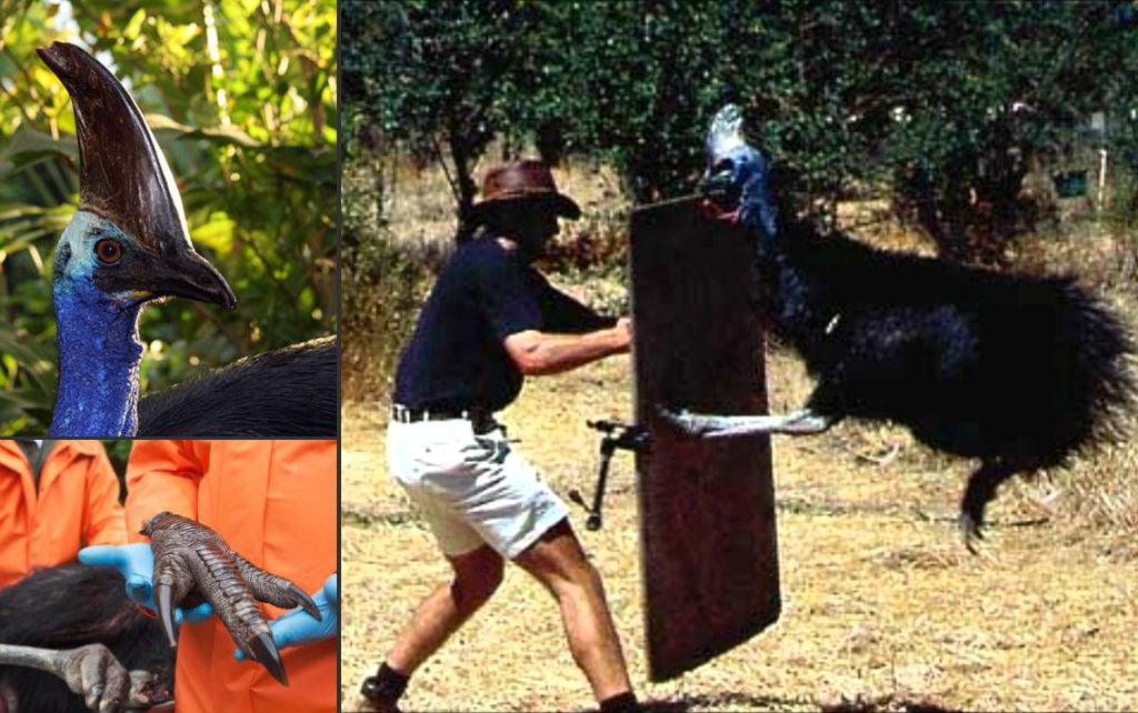 Solo en Australia 2