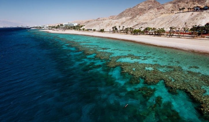 Mar Rojo | 10 fuera de los mares más oscuros del mundo | Bayas cerebrales