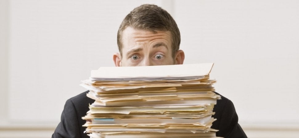 ¿Te quejas de la tarea? Retraso | Bayas cerebrales