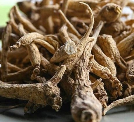 Raíz de ginseng salvaje - $ 3,836 / g | Las 7 especias más caras | Bayas cerebrales