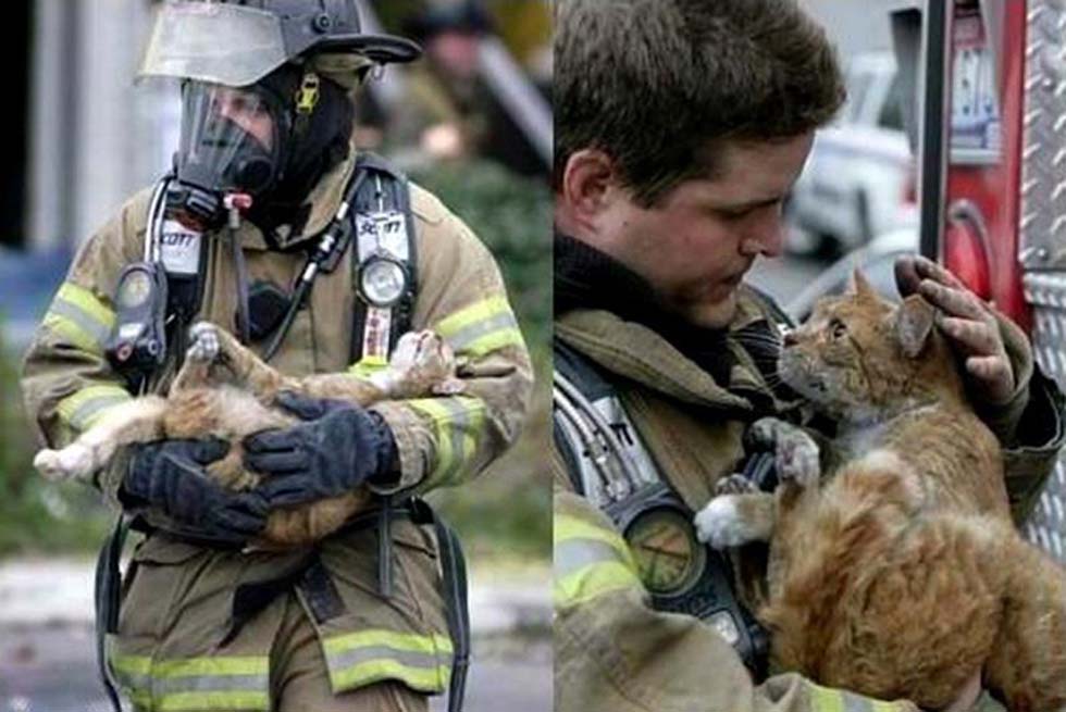 Amable_photos_that_will_and_your_heart_and_restore_humanity_01