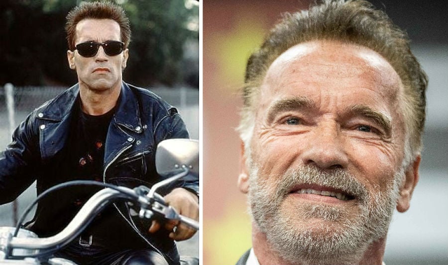 Arnold Schwarzenegger ahora | Bayas cerebrales