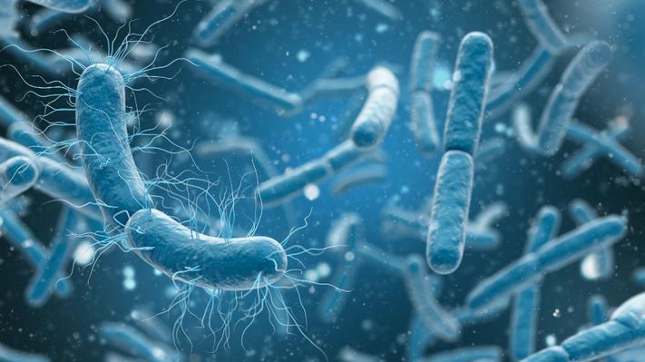 Los errores son mucho más difíciles sin gravedad | 6 Datos extraños sobre la gravedad | Bayas cerebrales