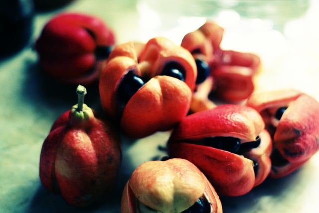 Frutas bloqueadas-us -4-40