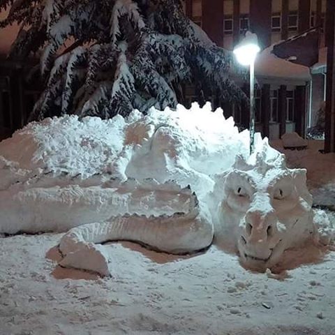 Blizzard_2016_24