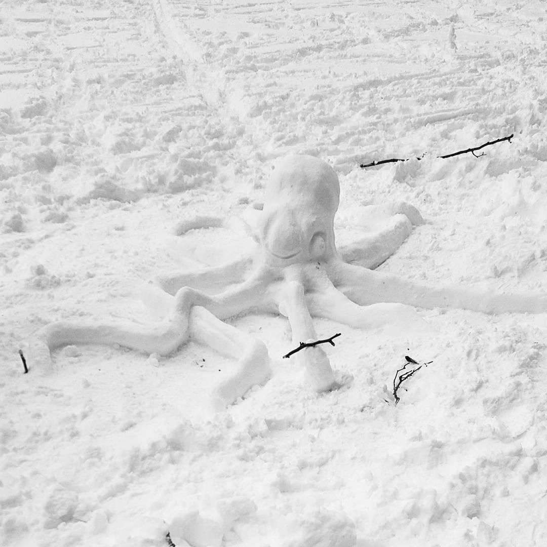 Blizzard_2016_27