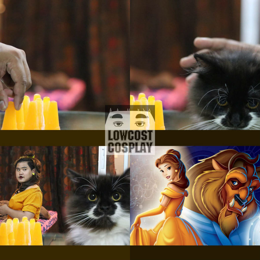 Barato-cosplay-ideal-from-a-taiwanese-genius-06