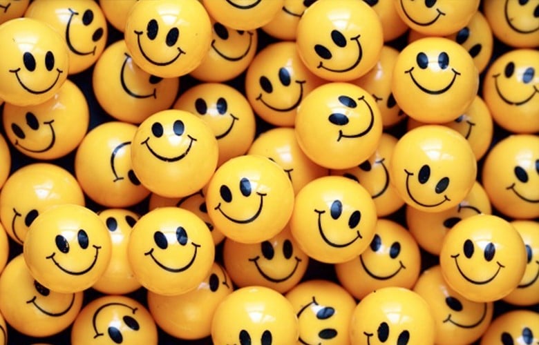 Te permite sentir la felicidad | 8 beneficios saludables | Bayas cerebrales