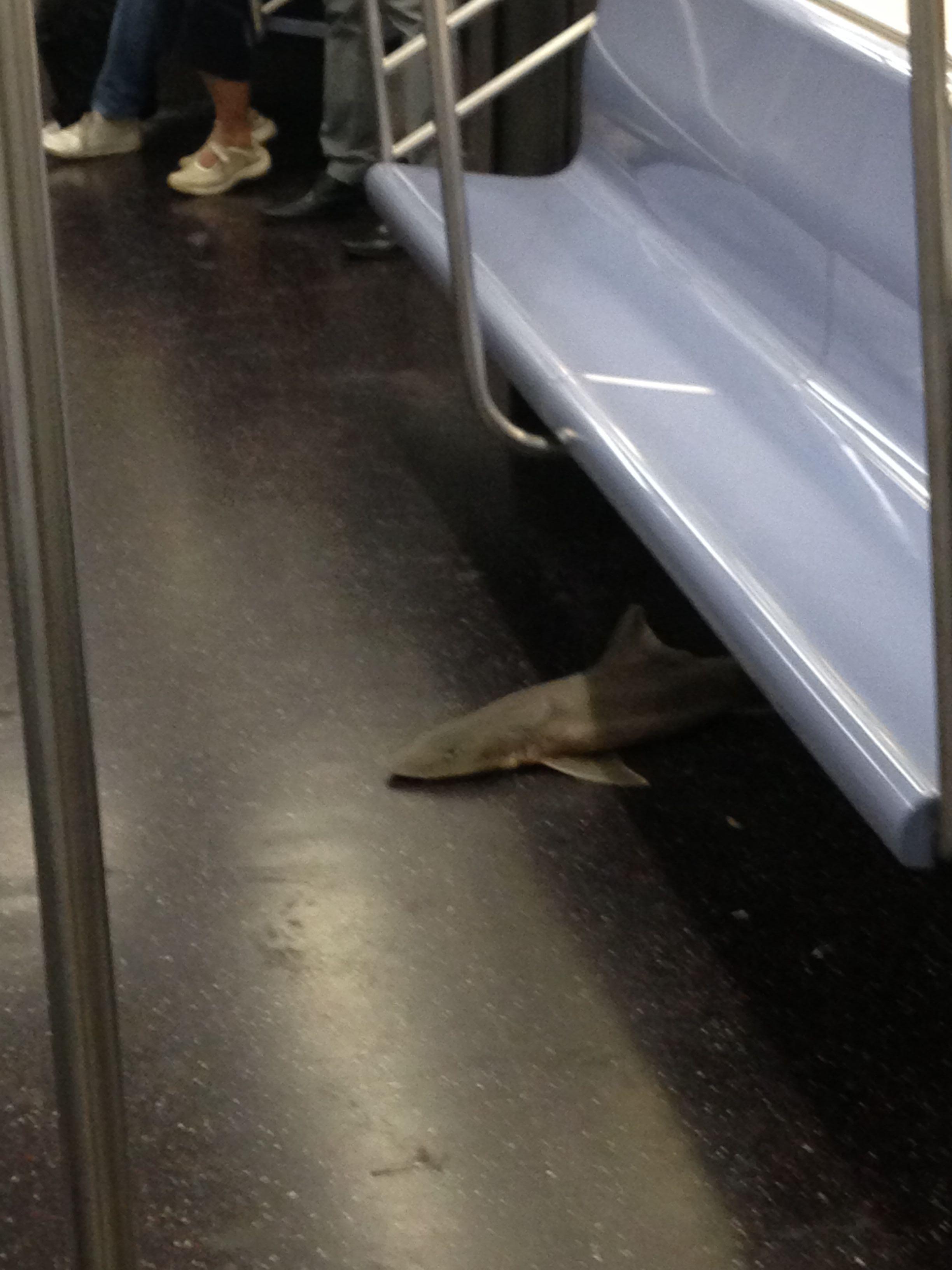 Exclusivamente-odd-metro-17th