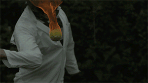 Fascinante-slomo-gifs_01