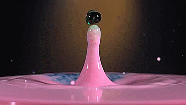 Fascinante-slomo-gifs_02