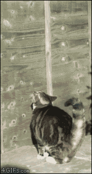 Fascinante-slomo-gifs_04