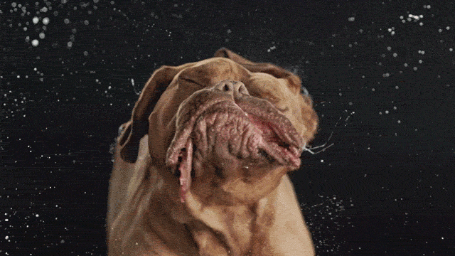 Fascinante-slomo-gifs_10