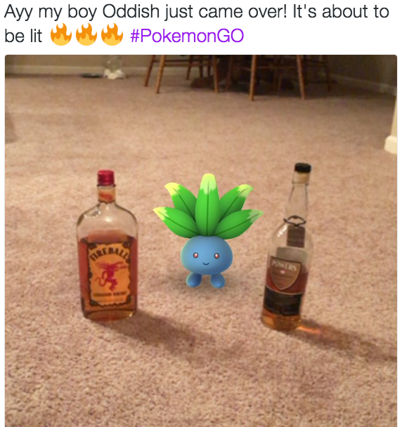 Más divertido-pokemon-go-memes-06