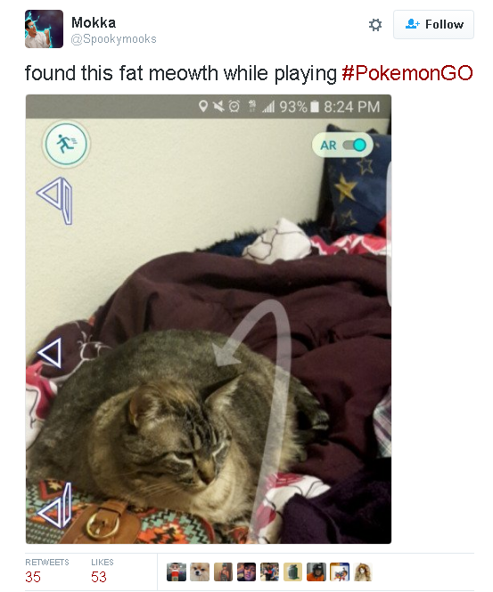 Más divertido-pokemon-go-Memes-07