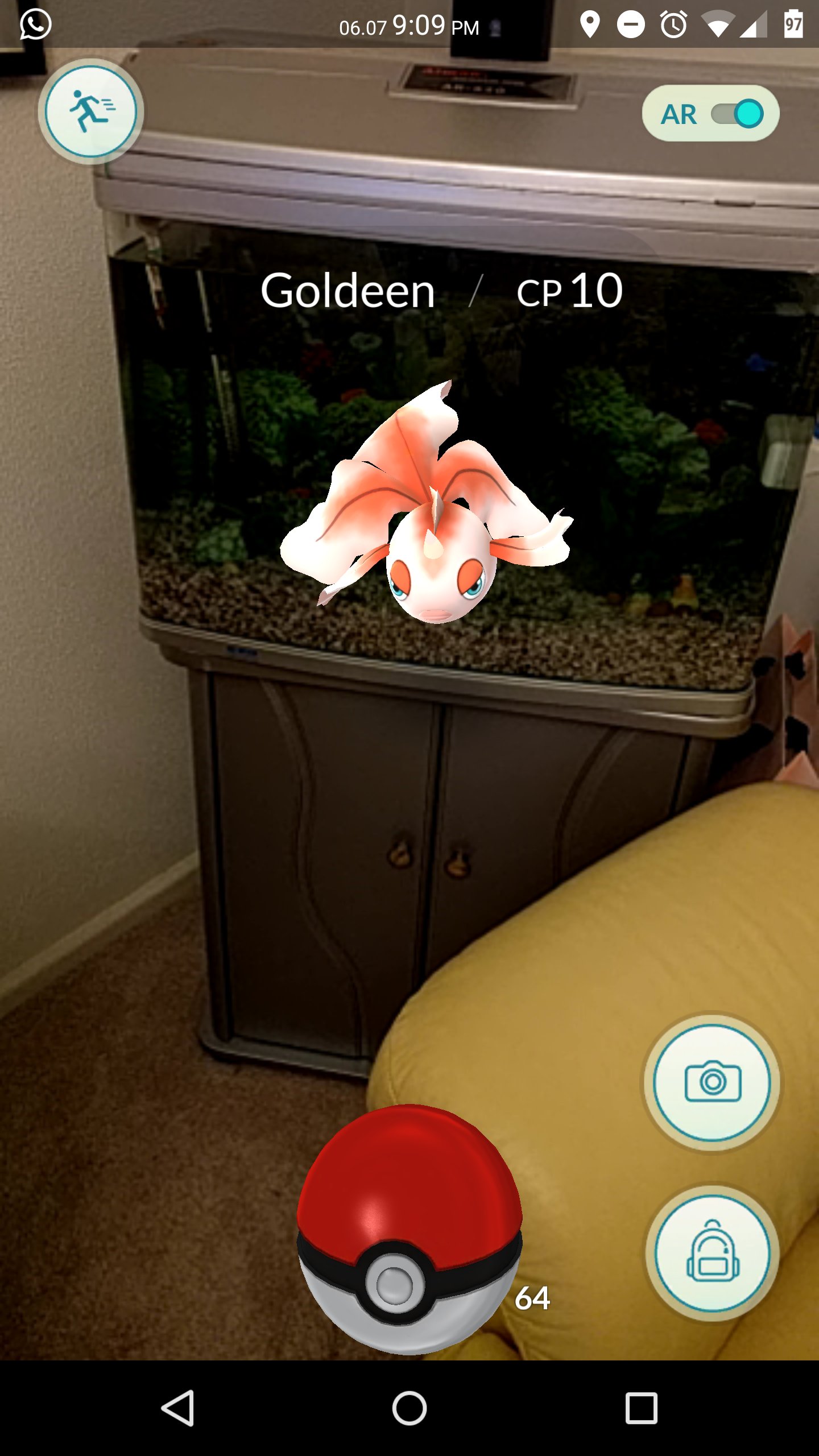Más divertido-pokemon-go-memes-14