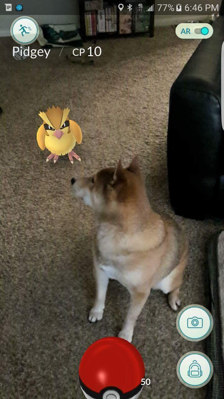 Más divertido-pokemon-go-memes-16